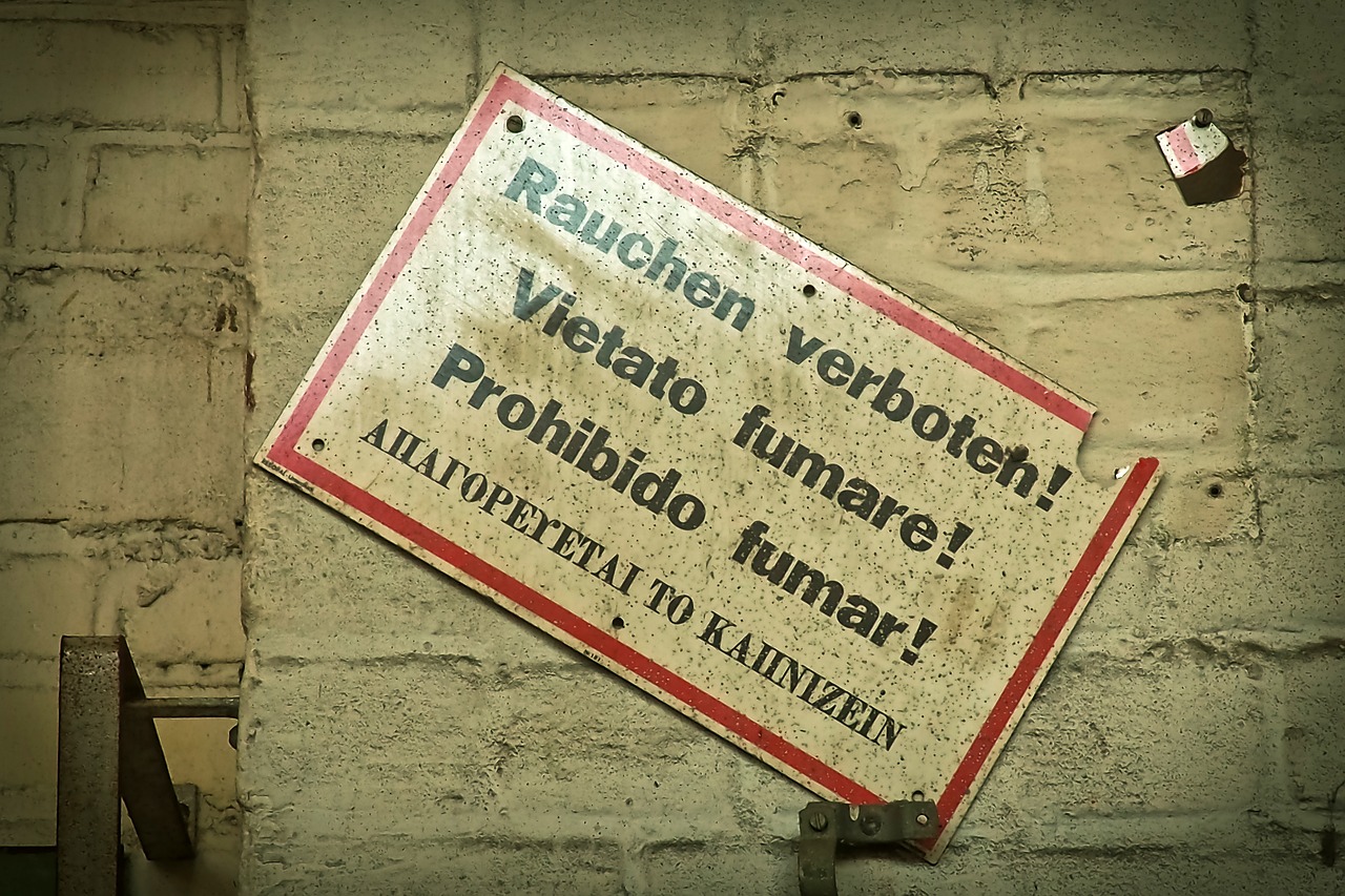 双流土地拍卖新动态,推动区域发展迎来新一轮热潮