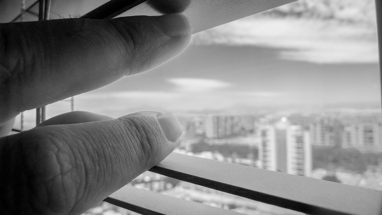 今乡大蒜最新价格分析与市场动态概览