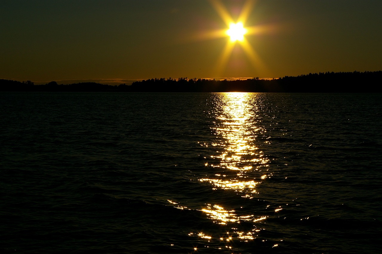 慈星公司最新招聘动态与职业发展机会深度探讨