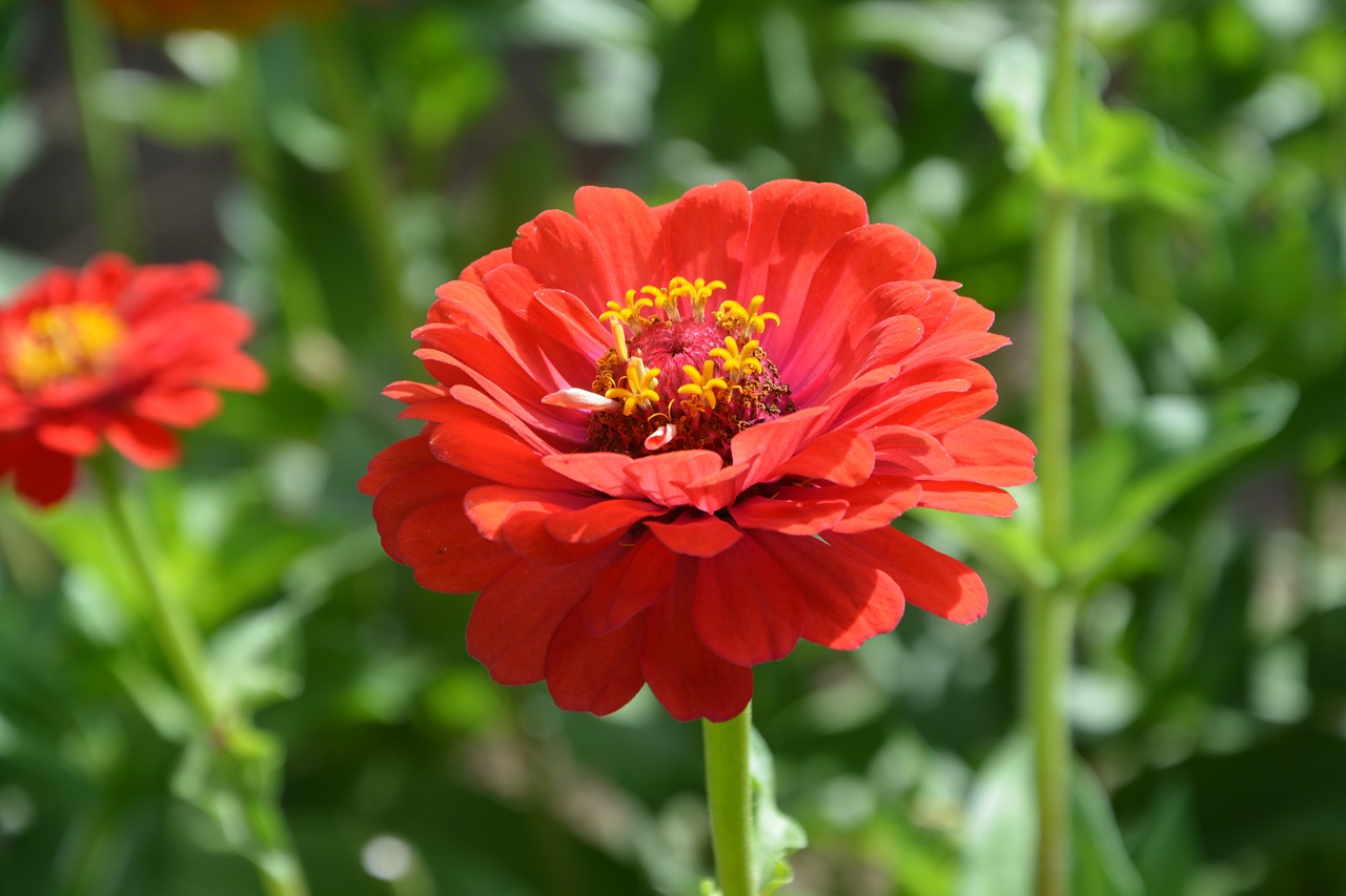 全球科技、经济与环境最新时事动态深度解析