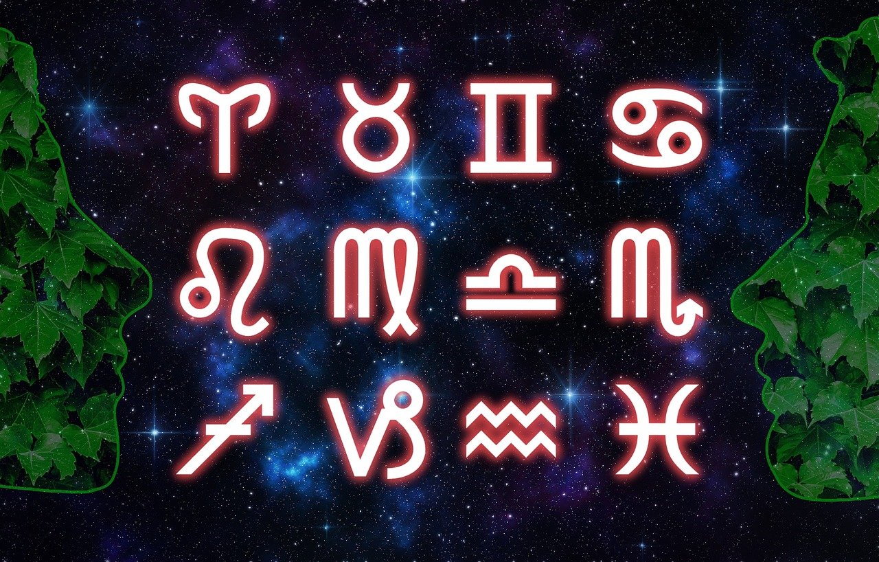 澳门天天免费精准大全，释意性描述解，目击版TX6256.2273