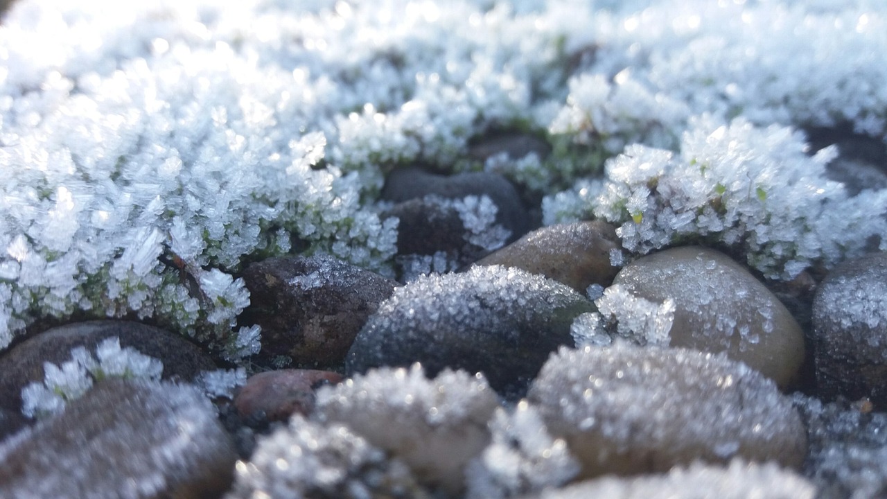 最新下雪新闻，雪落各地，美景如画尽收眼底